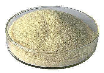 cassia gum manufacturers in India